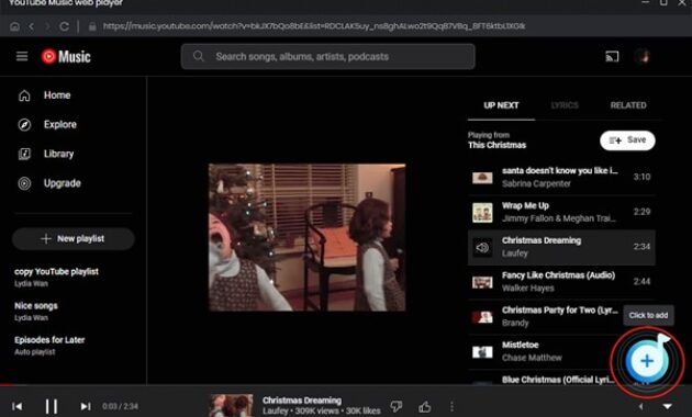 Gambar 2. Playlist offline