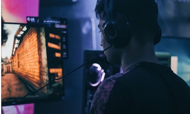 Gambar 2. Kompatibel PC dan konsol