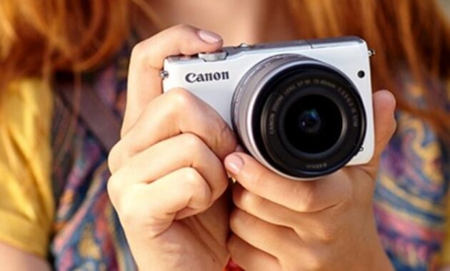 Gambar 3. Harga kamera mirrorless terjangkau