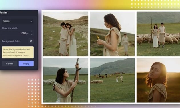 Gambar 3. Bagikan kolase ke sosial media