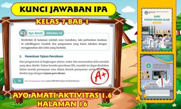 Gambar 3. Media audiovisual pendidikan dan platform edukasi SMP