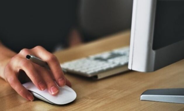 Gambar 2. Multi-device connection