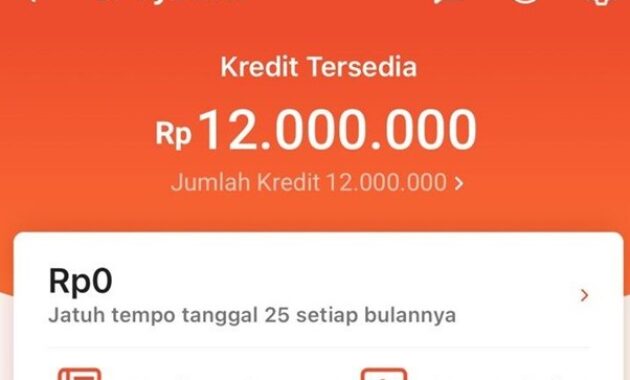 Gambar 2. Limit shopee paylater
