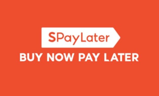 Gambar 3. Shopee paylater untuk pemula