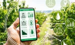 Gambar 1. Smart agriculture AI sensors
