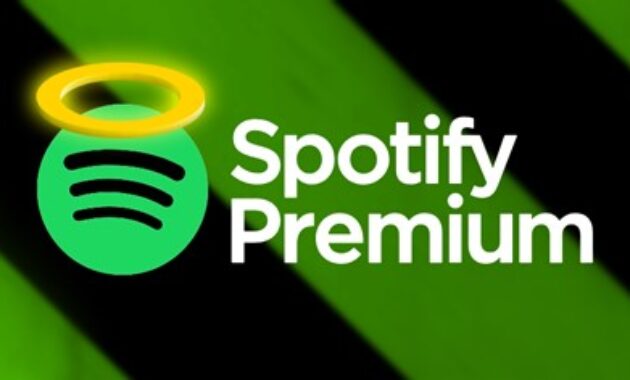 Gambar 1. Spotify premium murah
