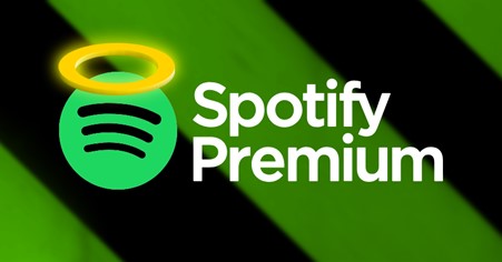 Gambar 1. Spotify premium murah