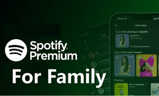 Gambar 2. Langganan spotify family