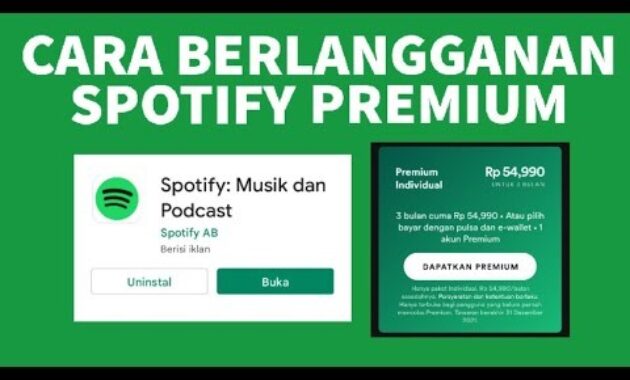 Gambar 3. Harga spotify tahunan vs bulanan