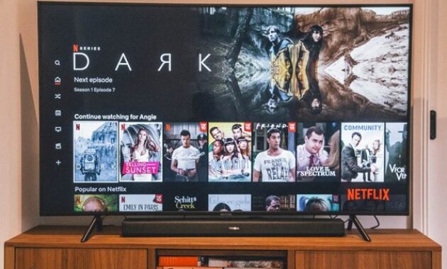 Gambar 1. TV pintar untuk netflix