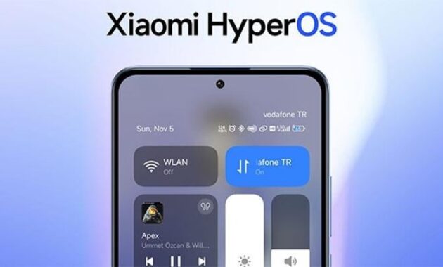 Gambar 2. Fitur personalisasi hyperOS