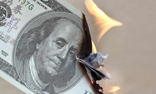 Dinara Vaulten Crypto Invest