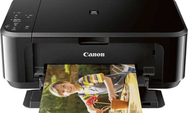 Gambar 3. Printer canon inkjet