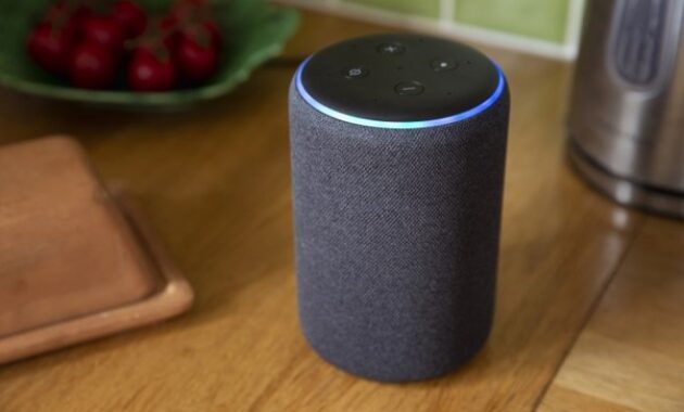 Gambar 1. Speaker pintar dengan Asisten suara