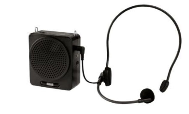 Gambar 1. Speaker untuk presentasi