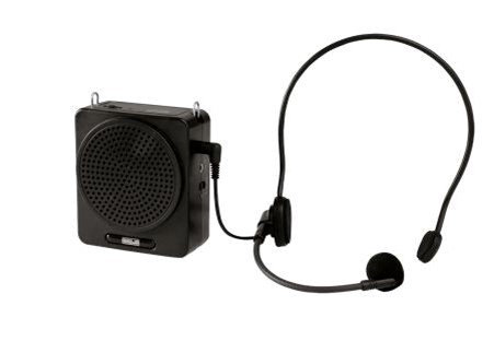 Gambar 1. Speaker untuk presentasi