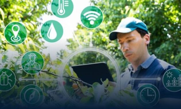 Gambar 1. Teknologi IoT di perkebunan modern