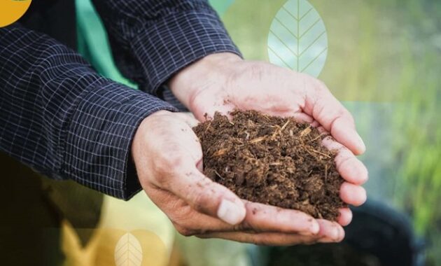 Gambar 2. Efisiensi pupuk 