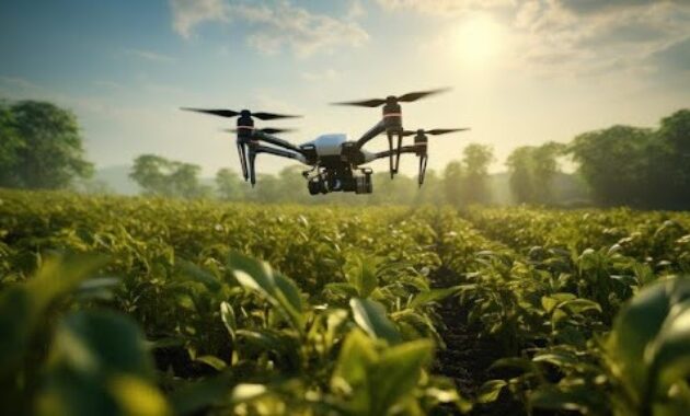 Gambar 3. Drone perkebunan
