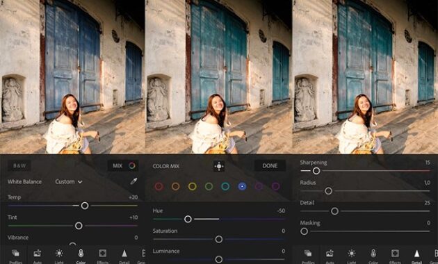 Gambar 1. Cara edit foto aesthetic di Lightroom