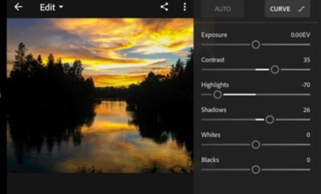 Gambar 2. Preset lightroom gratis aesthetic