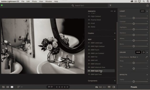 Gambar 3. Filter aesthetic lightroom terbaik