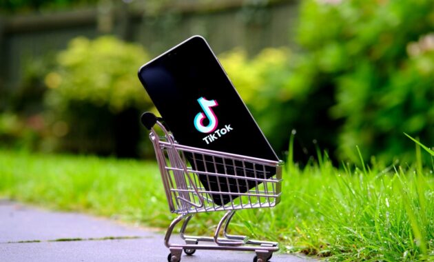 Gambar 3. Algoritma Tiktok Shop