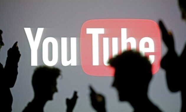 Gambar 3. Subscriber growth