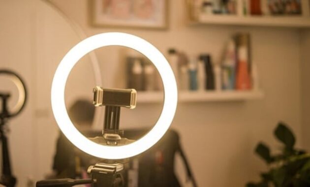 Gambar 3. Konten kreator pemula