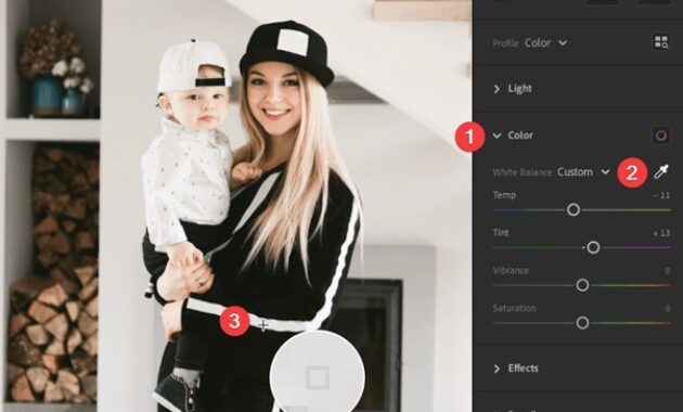 Gambar 2. Preset aesthetic lightroom mobile