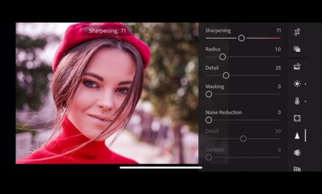Gambar 3. Editing foto keren dengan preset