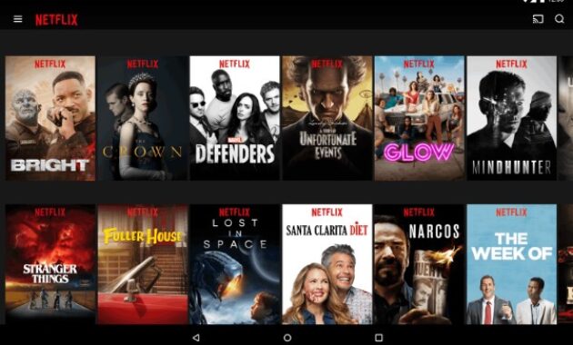 Gambar 1. Aplikasi untuk nonton film