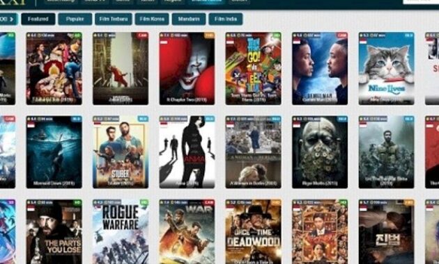 Gambar 3. Aplikasi streaming gratis