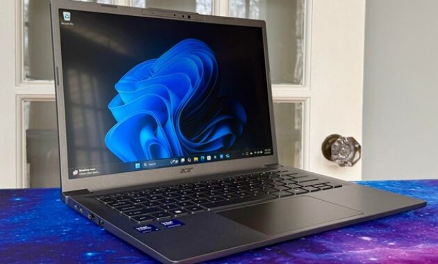 Gambar 2. Untuk efisiensi kerja profesional