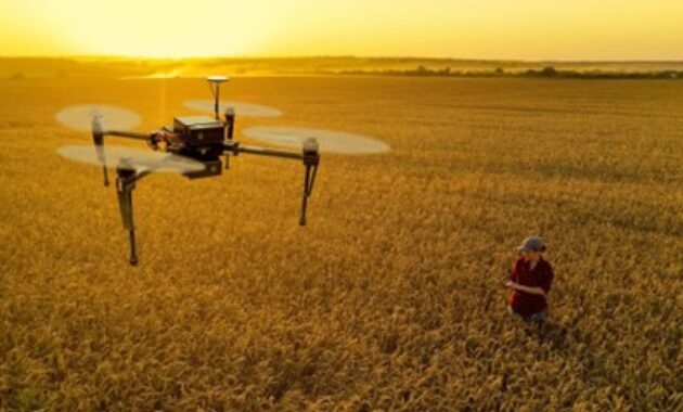 Gambar 2. Sensor AI: Otak dari smart farming