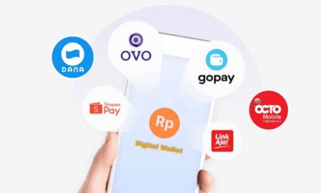 Gambar 3. Peran regulasi pembayaran digital Indonesia