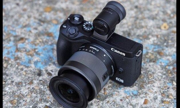 Gambar 3. Cocok untuk fotografi profesional