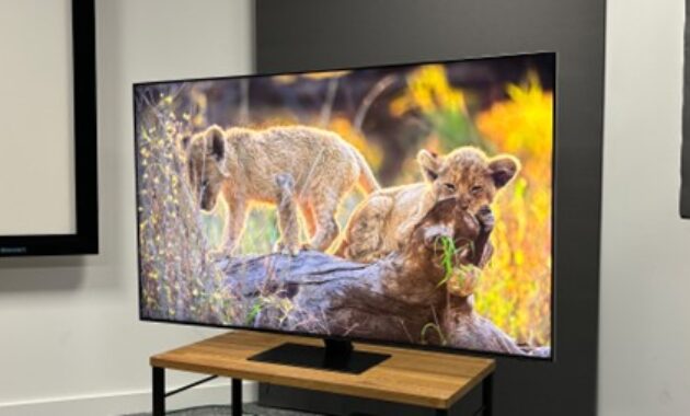 Gambar 3. Koneksi Modern dan Fitur Masa Depan