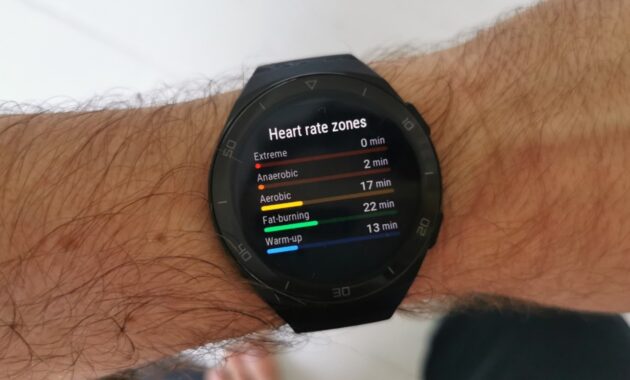 Gambar 2. Pemantau Detak Jantung yang Akurat Sepanjang Hari