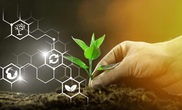 Gambar 2. Rekayasa Genetika Tanaman Pangan