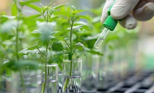 Gambar 3. Modifikasi Enzim Mikrobial untuk Efisiensi Produksi