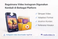 reels video instagram