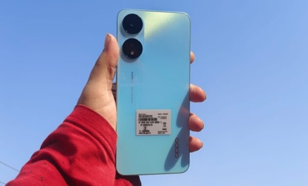 Gambar 3. Warna Foto Natural (Realistis tapi Tetap Menarik)