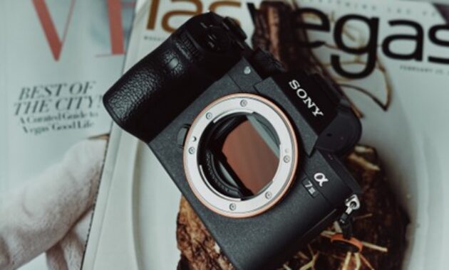 Gambar 1. Kamera dengan sensor full frame terbaik untuk fotografi