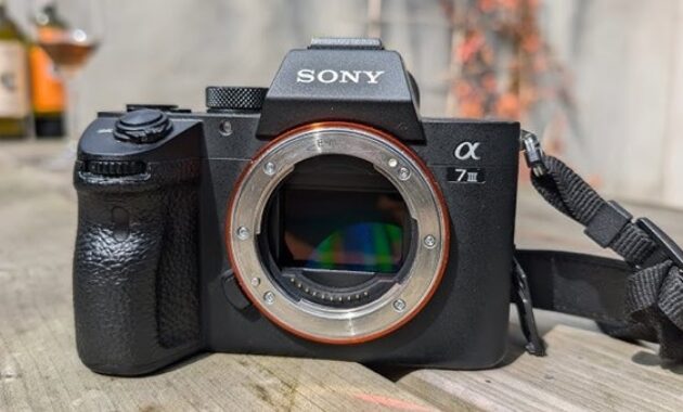Gambar 2. Sensor Full Frame Resolusi Tinggi