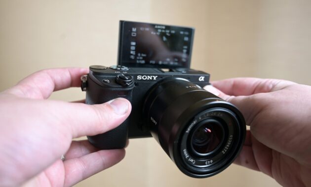 Gambar 3. Menjelajah Batas Fotografi Manusia dan Hewan