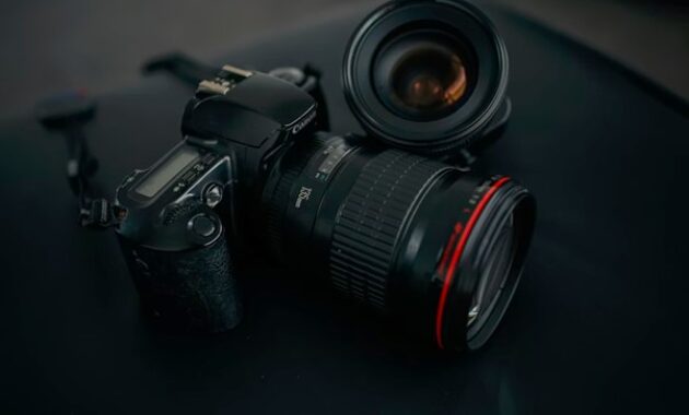Gambar 1. Kamera terbaik untuk fotografi portrait profesional