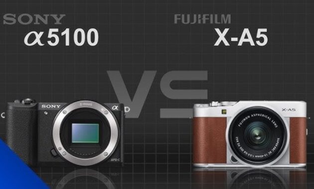 Gambar 1. Perbandingan kamera Sony vs FujiFilm untuk videografi