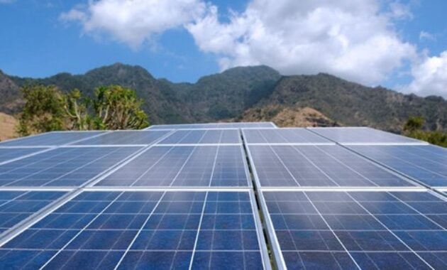 Gambar 2. Transisi Energi Nasional (Jalan Panjang Menuju Net Zero)
