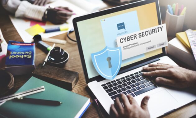 Gambar 1. Cyber security untuk UMKM digital